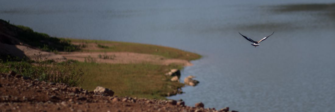 Crise hídrica: os impactos da falta de água na economia - TecMundo