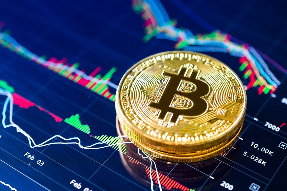 Bitcoin chegará a US$ 100 mil, afirma CEO de consultoria