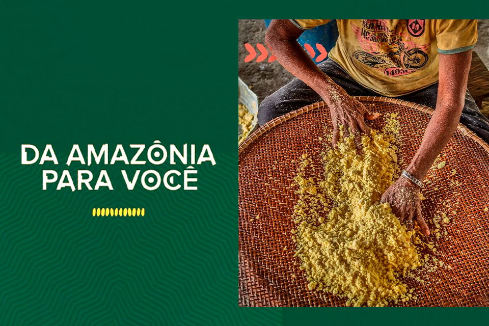Mercado Livre incentiva empreendedores da Amazônia em campanha