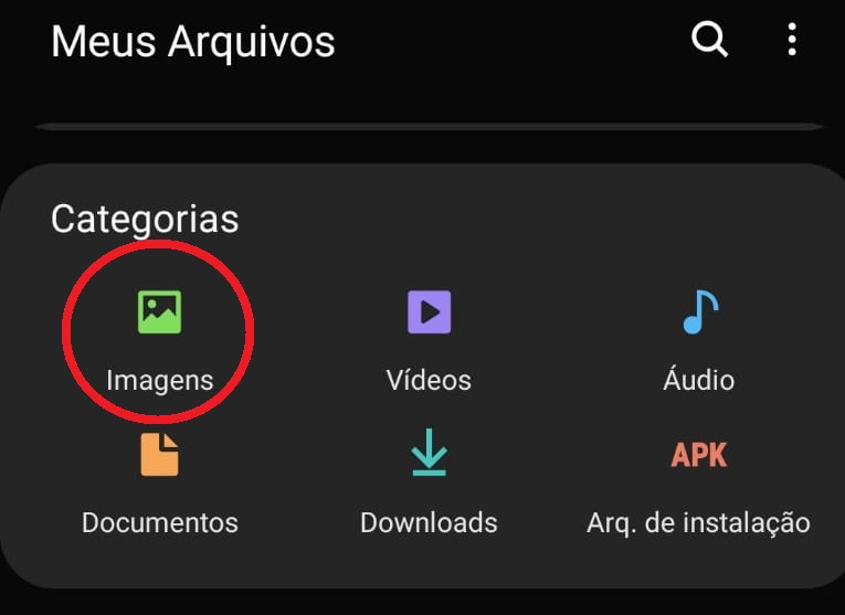 Dentro dos Arquivos do seu sistema Android se encontra a pasta de imagens