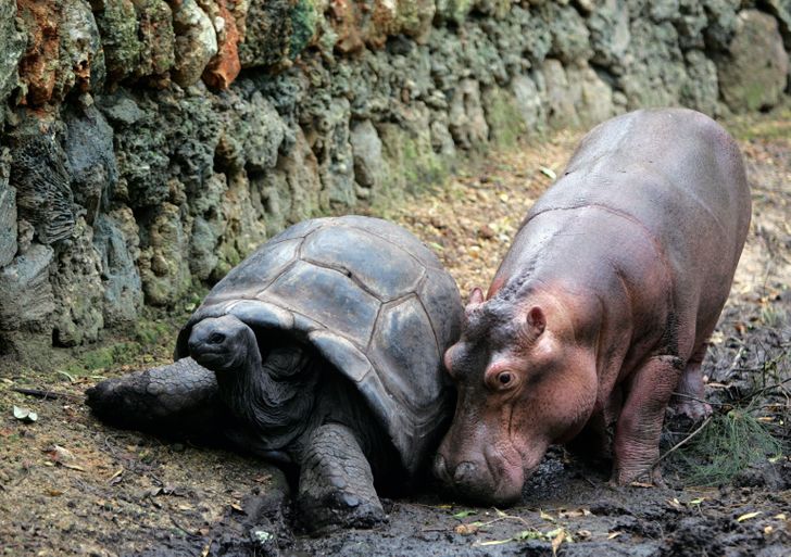 (Fonte: Reuters)