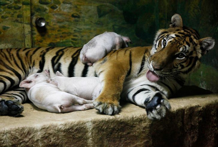(Fonte: Reuters)