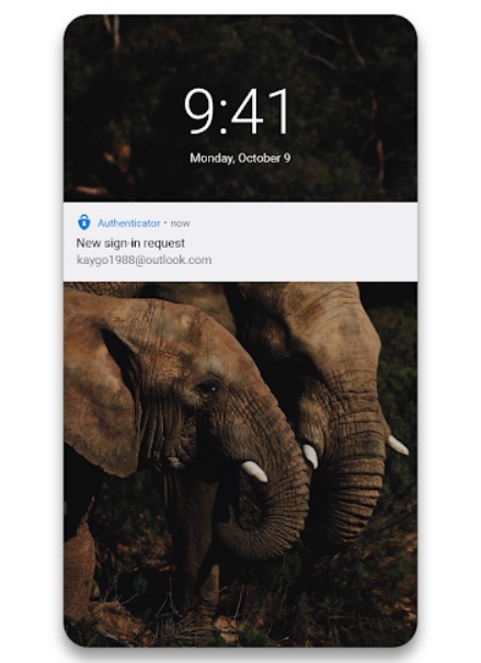 O login sem o uso de senhas pelo celular.