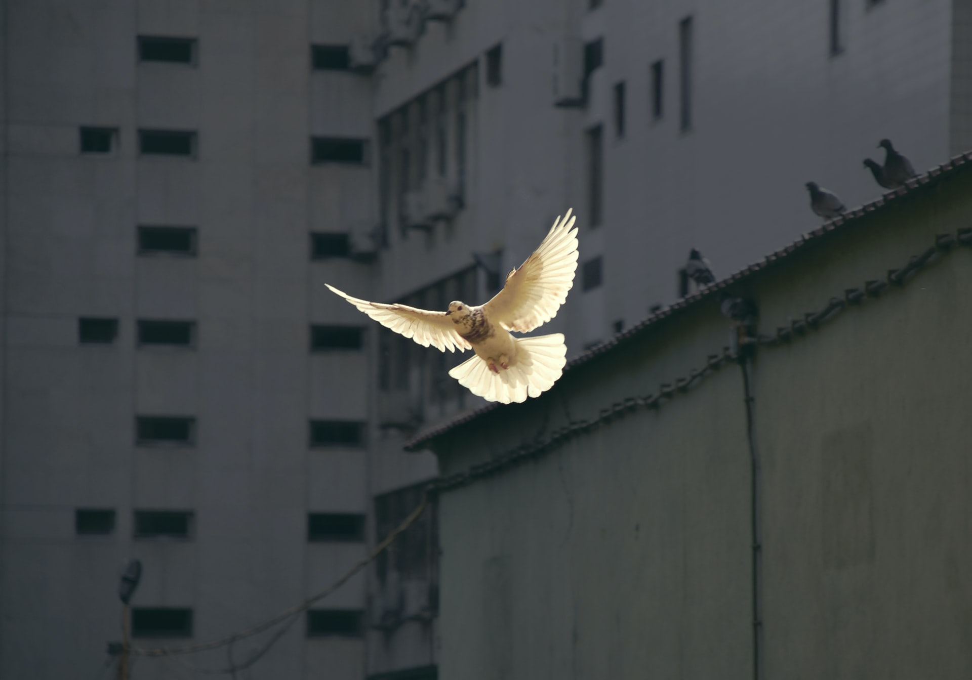(Fonte: Unsplash)
