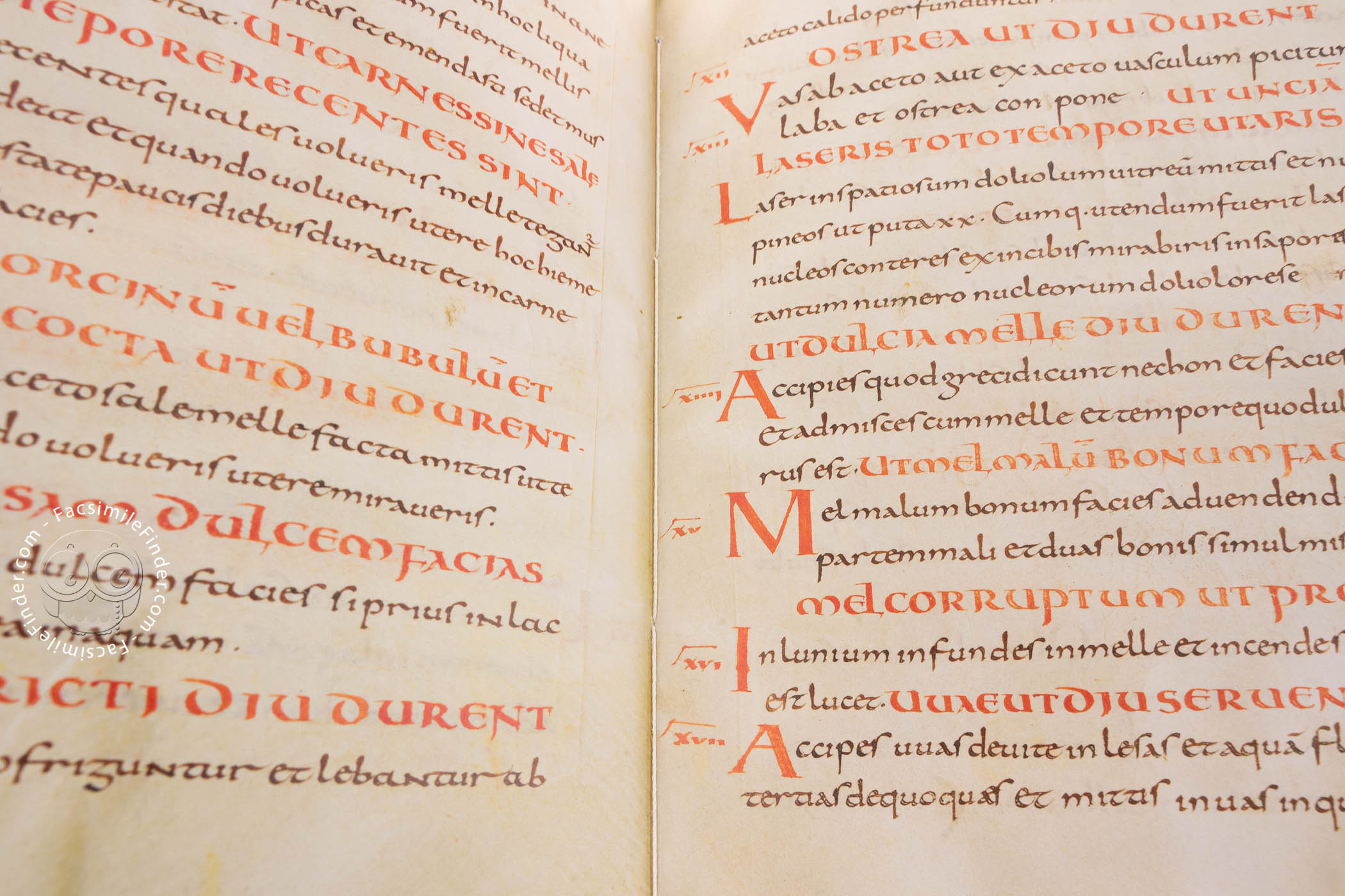 (Fonte: Facsmiler Finder/ Biblioteca do Vaticano/ Reprodução)