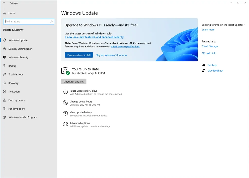 Banner de actualización de Windows 11 en Windows Update.  (Fuente: The Verge / Reproduction)