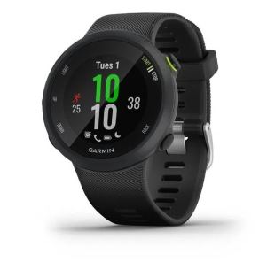 Image: Garmin Forerunner 45 GPS smartwatch