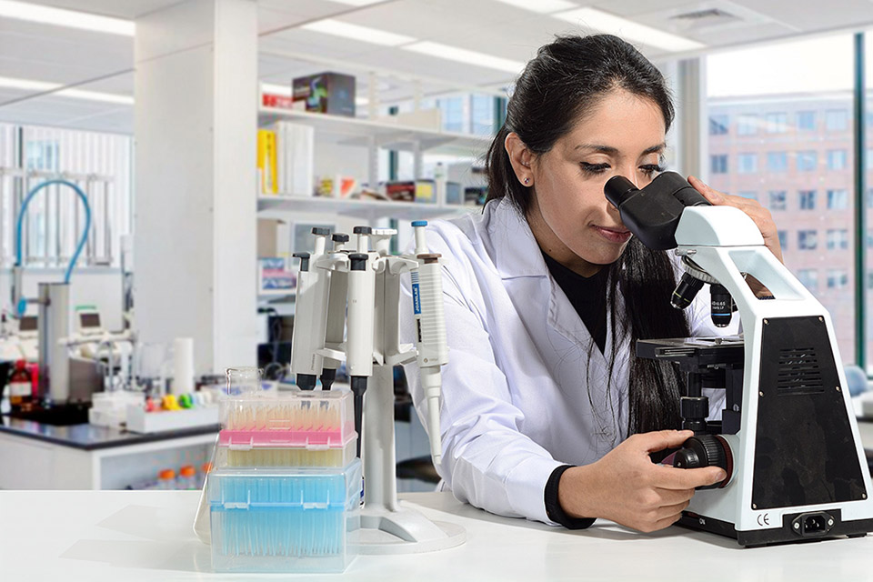 Cientista descobre bactérias capazes de comer um prego em 3 dias