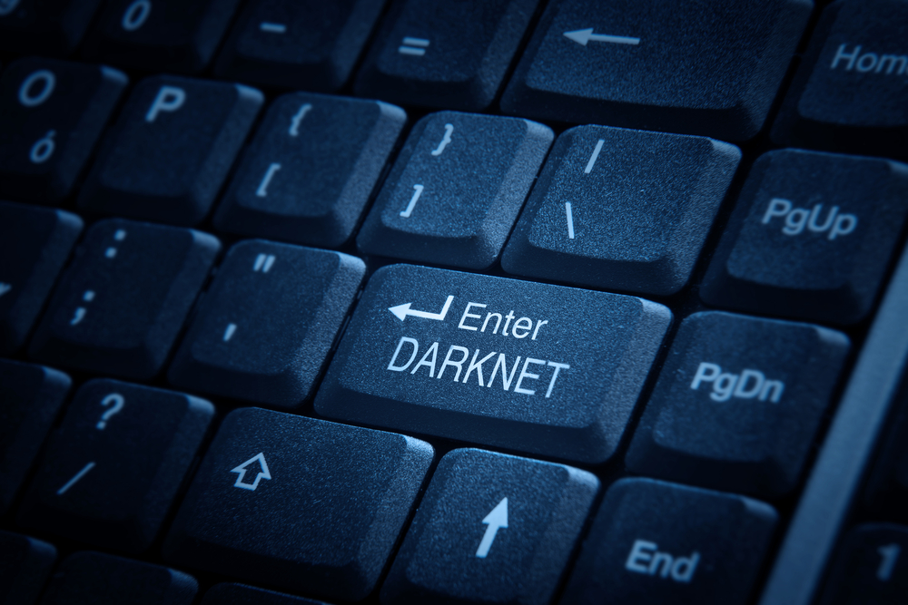 Darknet чаты torrent скачать tor browser попасть на гидру