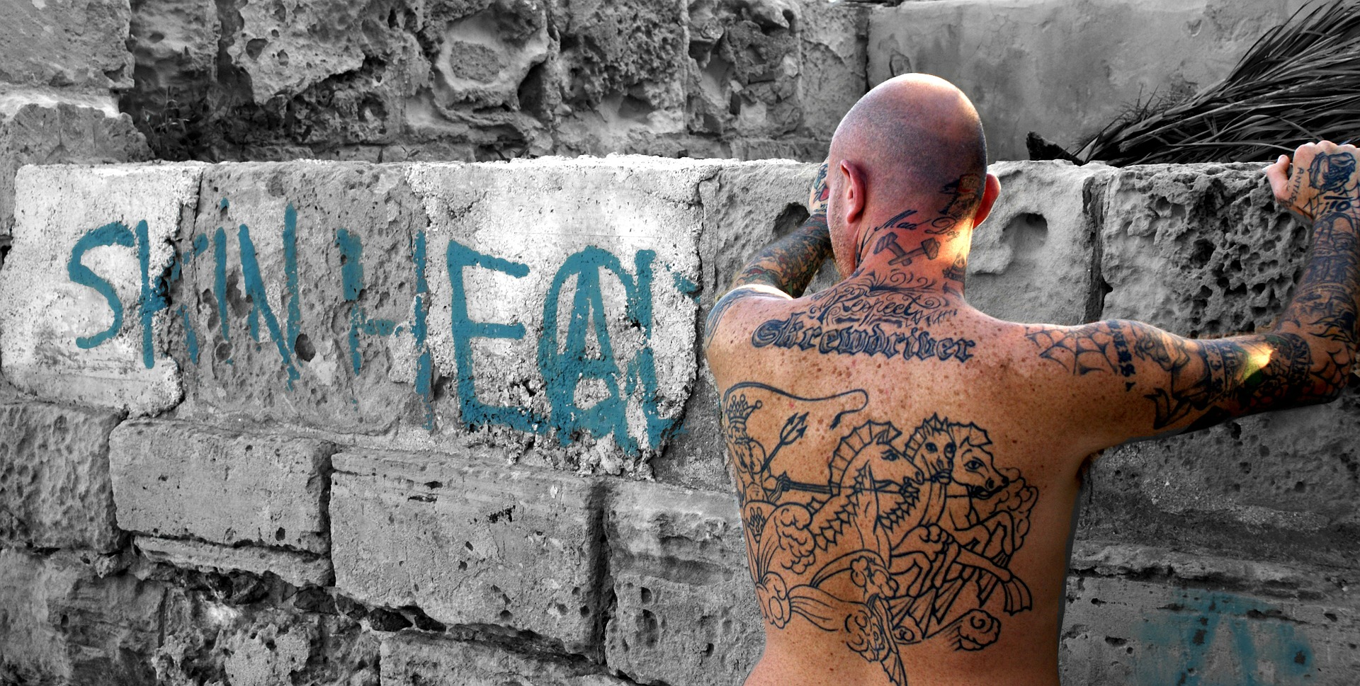 (Fonte: Pixabay)