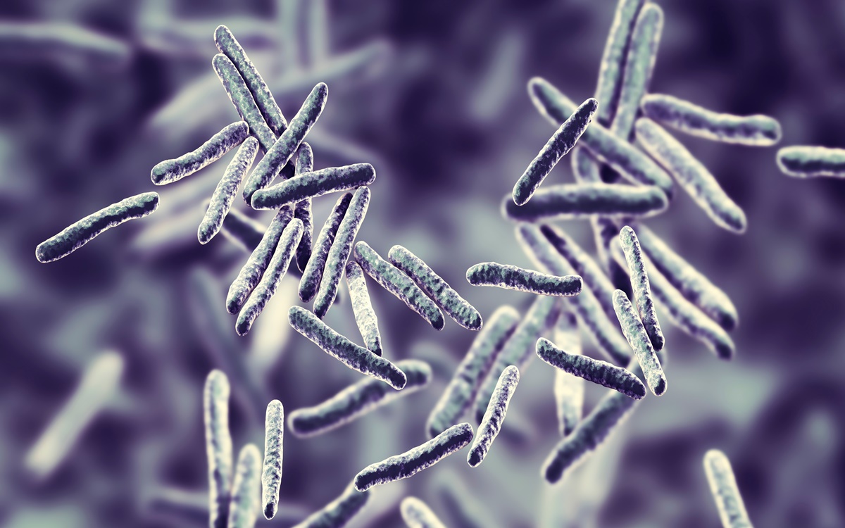 Mortes por tuberculose aumentam globalmente devido à pandemia, alerta OMS