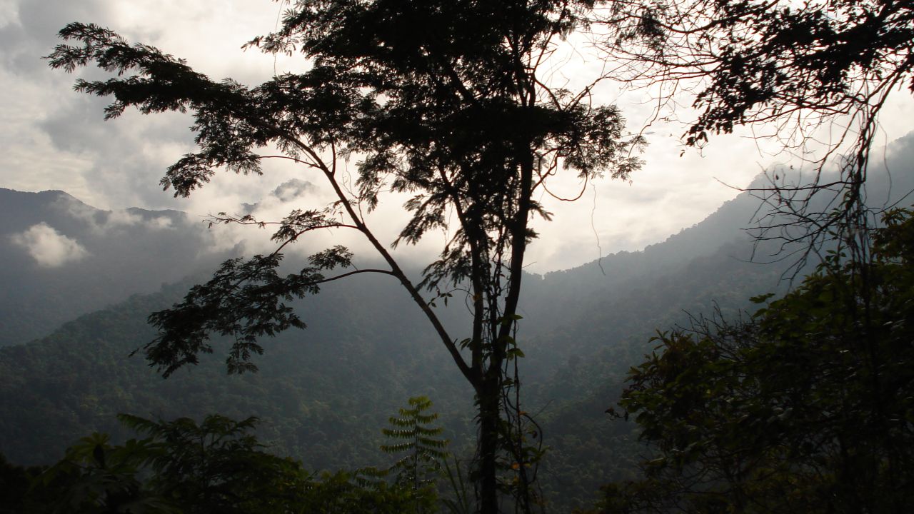 (Fonte: Wikimedia Commons / Reprodução)