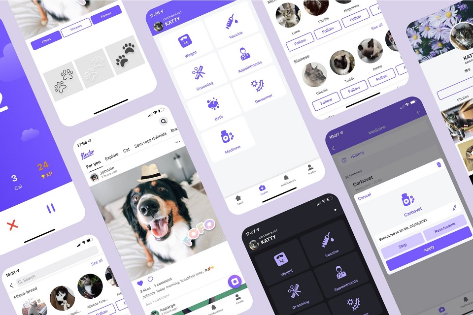 Veja como se cadastrar no Flockr, a rede social pet