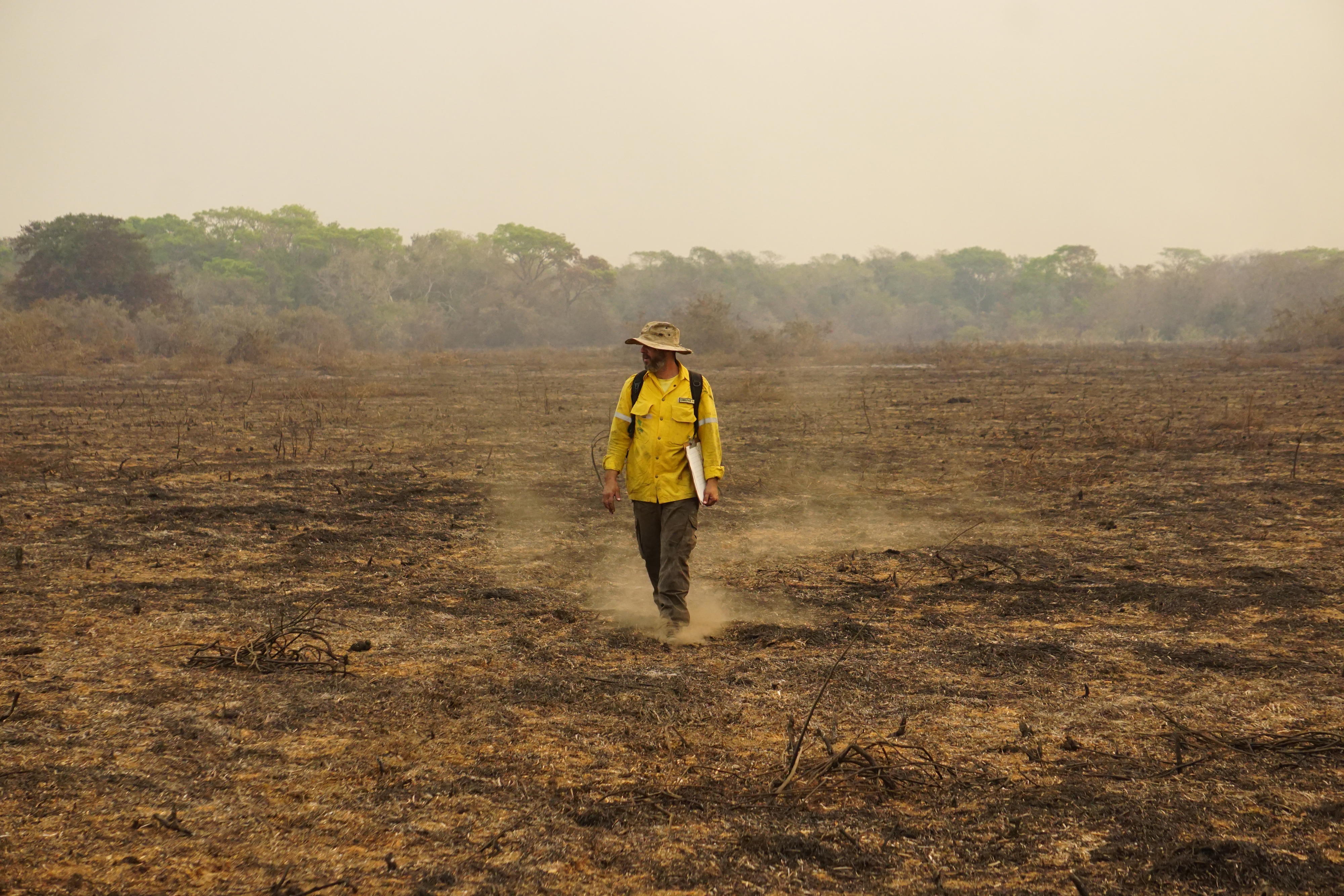 Pesquisador, após incêndio, em visita à região do pantanal atingida (Fonte: CENAP-ICMBio)