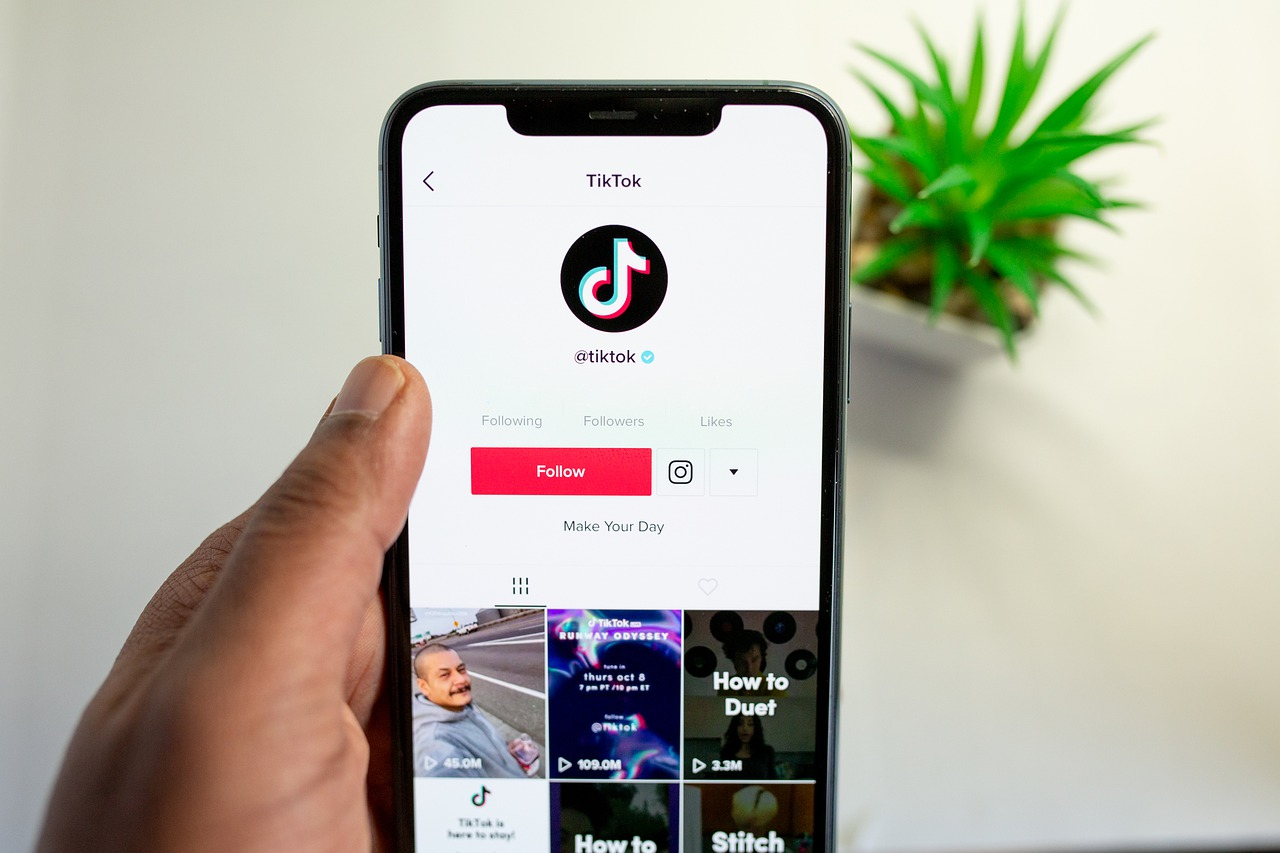 Como tirar a marca-d’água do TikTok no Android e iOS - TecMundo