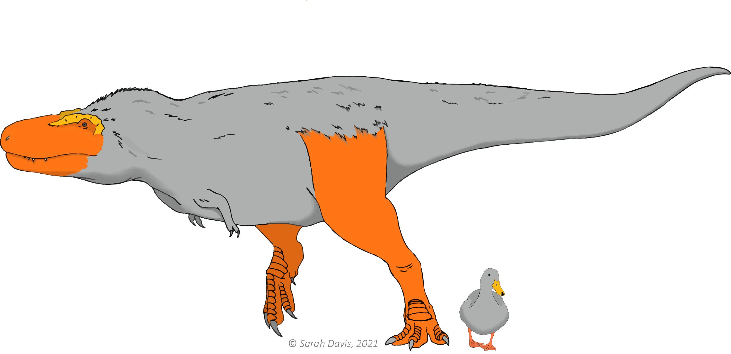 (Fonte: Jackson School of Geosciences / Reprodução)