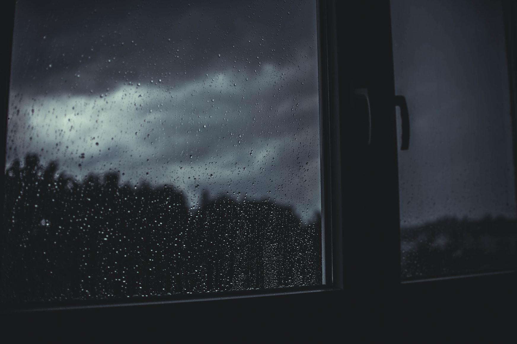 (Fonte: Unsplash