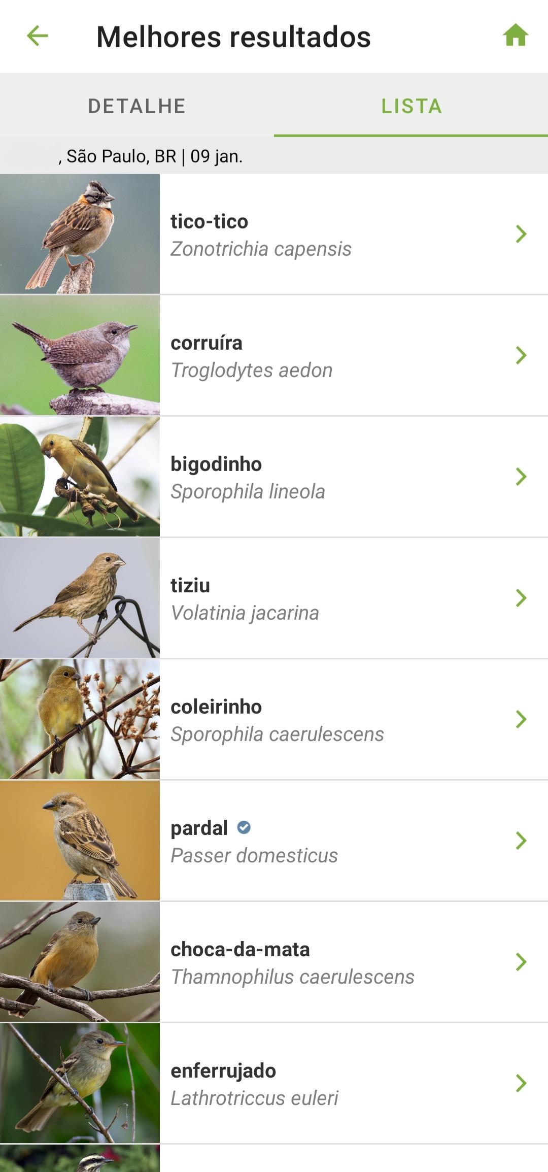 O app fornece uma lista das aves que melhor se encaixam nas descrições fornecidas. (Fonte: Tecmundo/Reprodução)