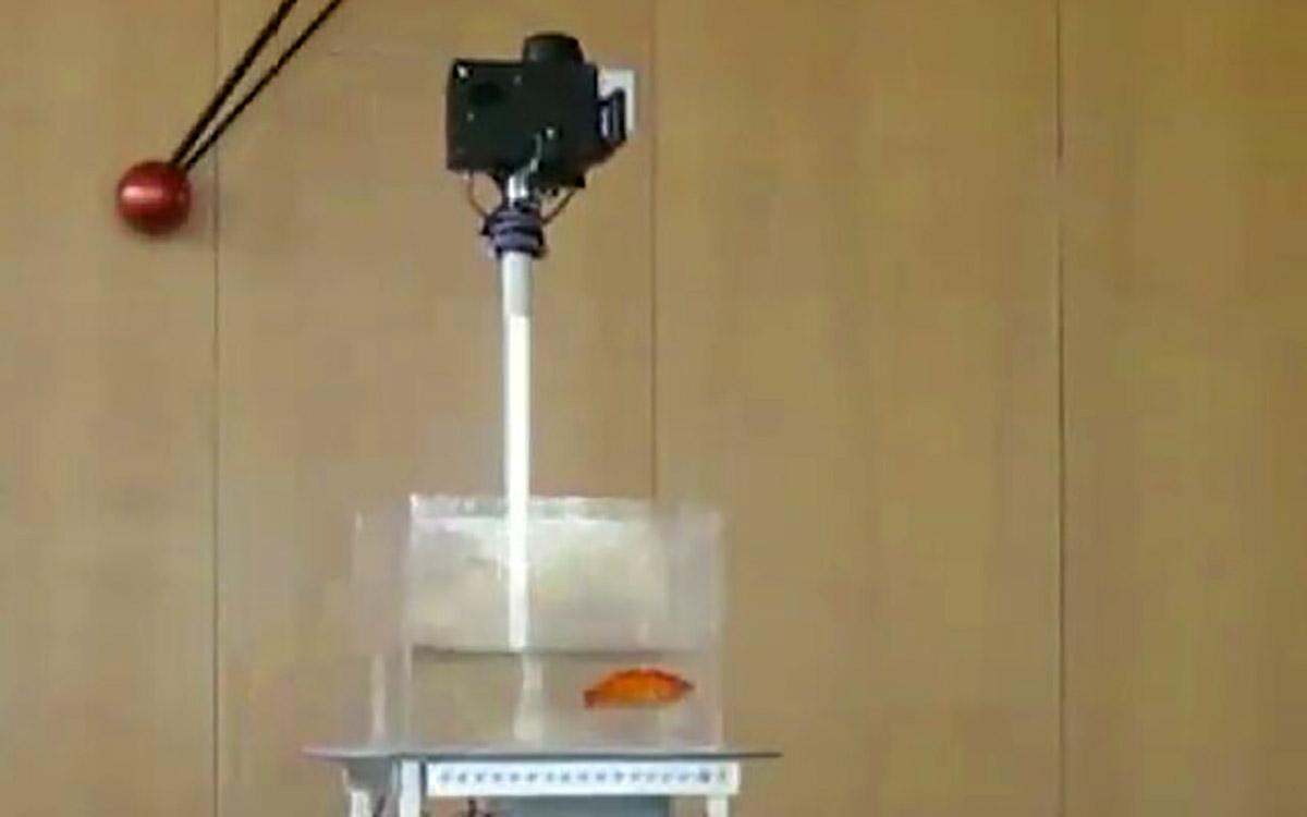 O veículo FOV é dirigido através do sinal de vídeo da câmera. (Fonte: Ben-Gurion University of the Negev)