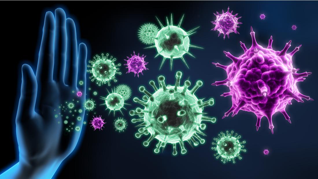 (Fonte: Shutterstock)