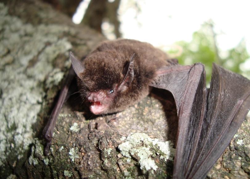 (Fonte: O Eco)