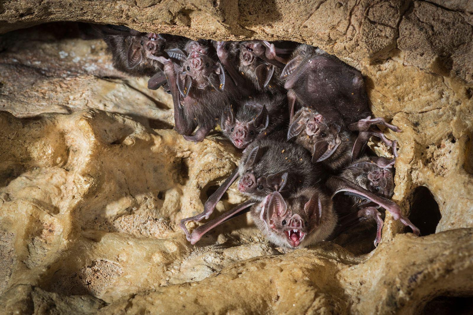 (Fonte: National Geographic)