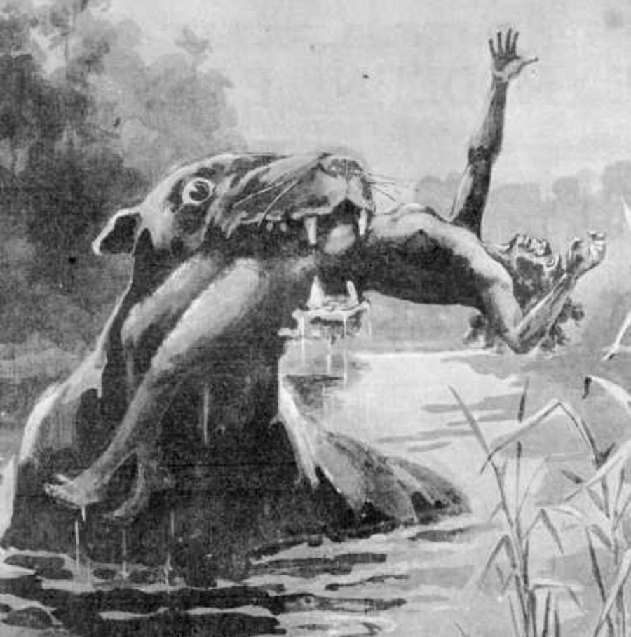 (Fonte: Wikimedia Commons)