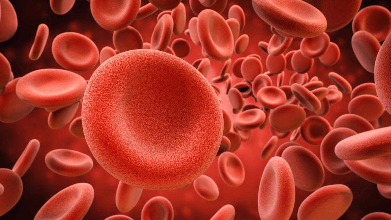 (Fonte: Medical News Today / Reprodução)