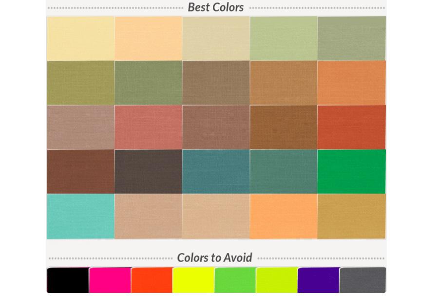 (Colorwise.me/Reprodução)