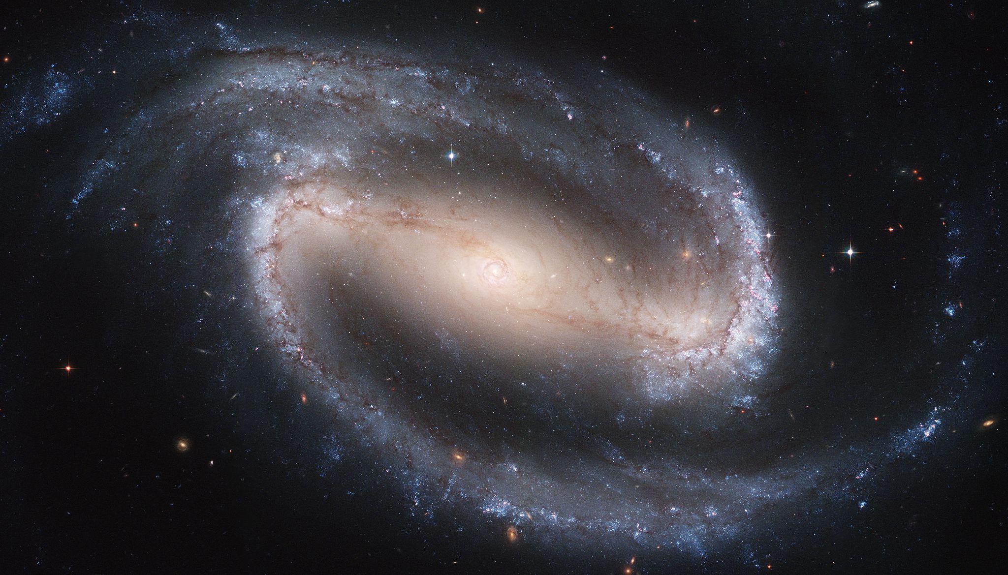 The barred spiral galaxy NGC 1300 (Source: Wikimedia Commons/NASA)