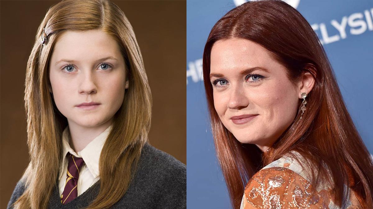 Confira Como Está O Elenco De Harry Potter Atualmente Minha Série