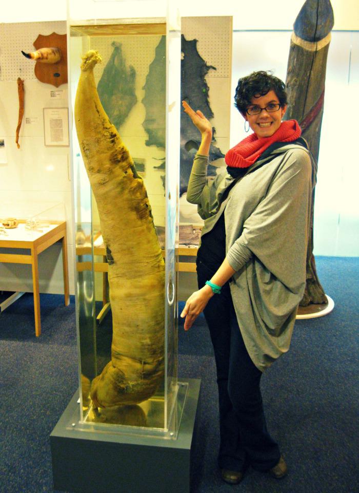 (Fonte: Museum Ask/ Reprodução)