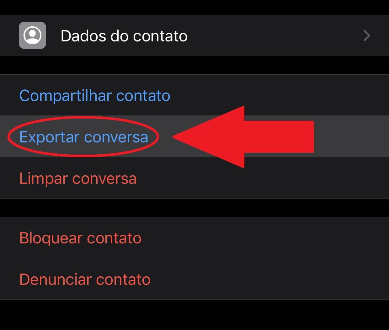 A opção de exportar a conversa é uma das últimas nos dados do contato selecionado. (Fonte: Baixaki/Reprodução)