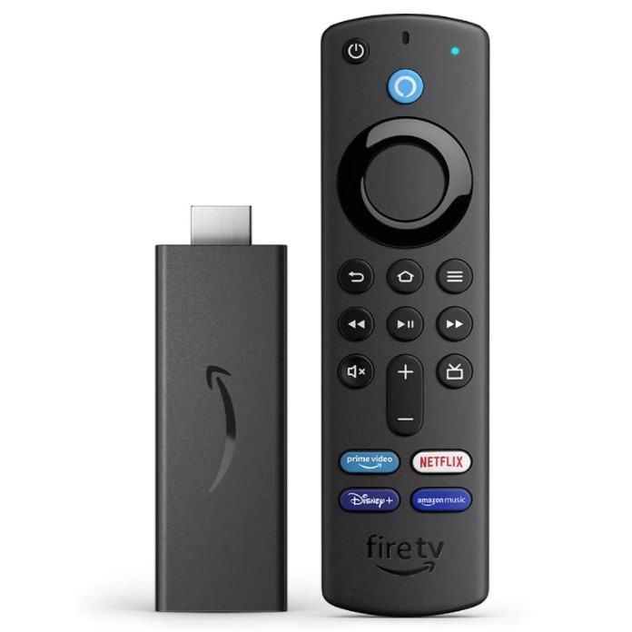 Image: Fire TV Stick