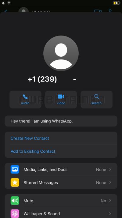 Nova interface para a tela que exibe informações de contatos no WhatsApp.
