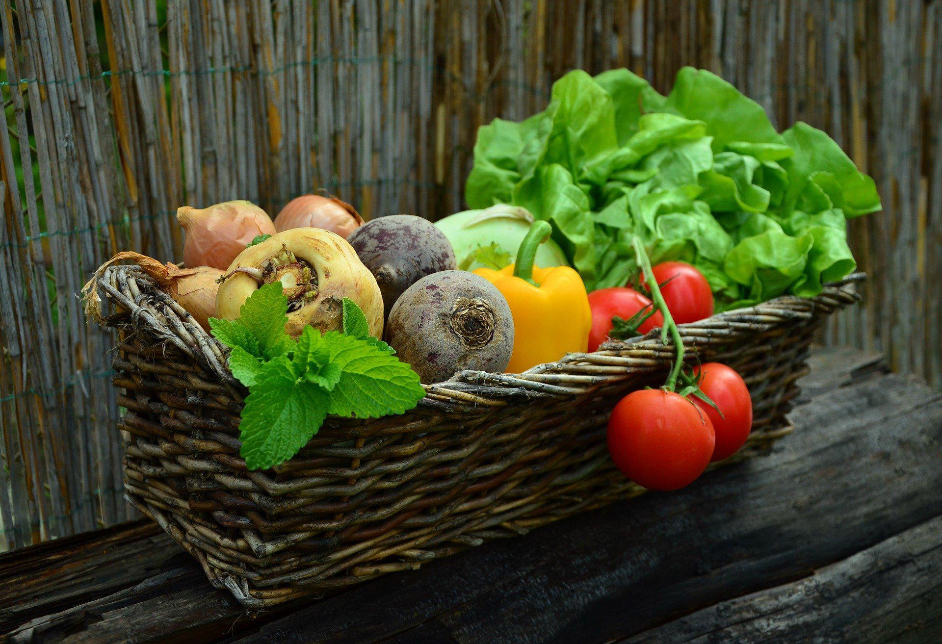 Humanity has been choosing the best vegetables to plant for centuries (Source: Pixabay/congerdesign)