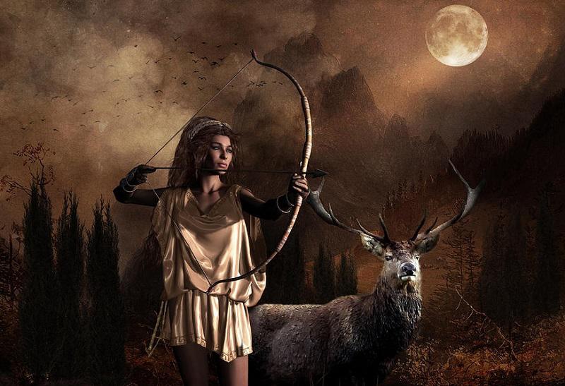 (Fonte: Shanina Conway/Fine Art America)