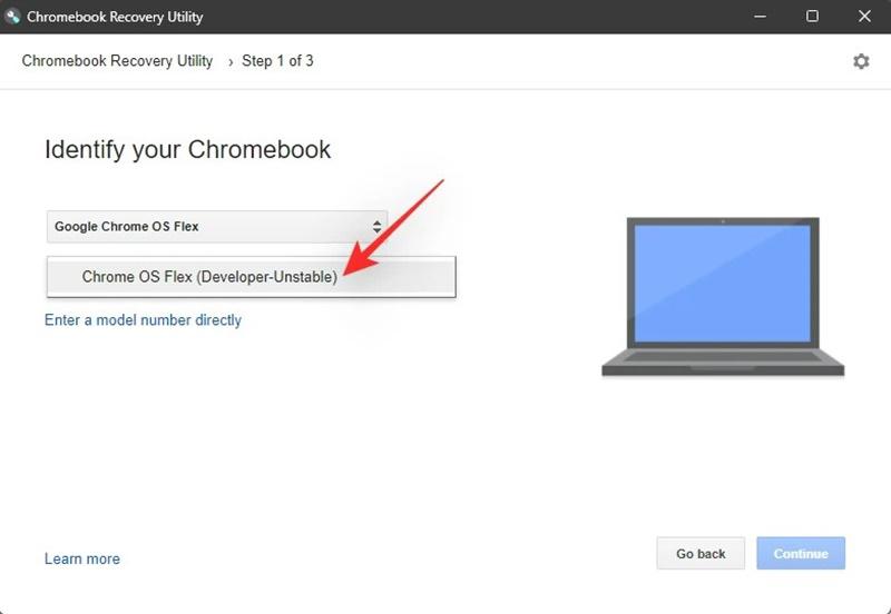 Select the “Chrome OS Flex (Developer-Unstable) option.