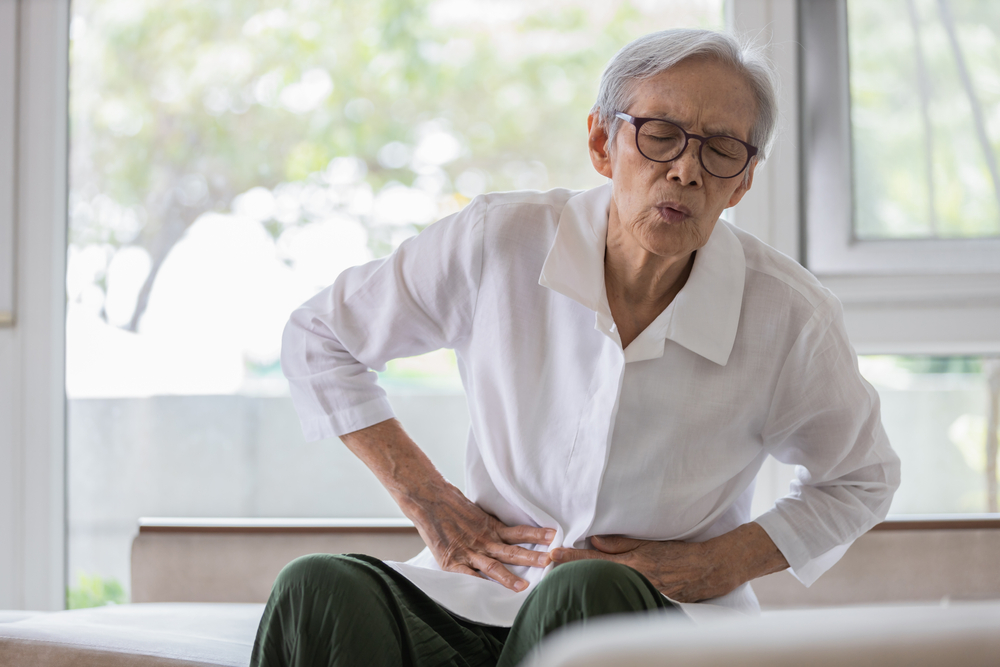 (Fonte: Shutterstock)