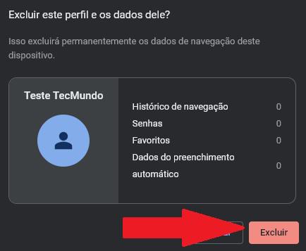 Dados sobre o perfil são apresentados antes da confirmação de sua exclusão