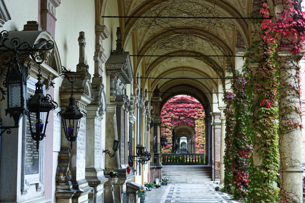 (Fonte: 26daysoff/Shutterstock)
