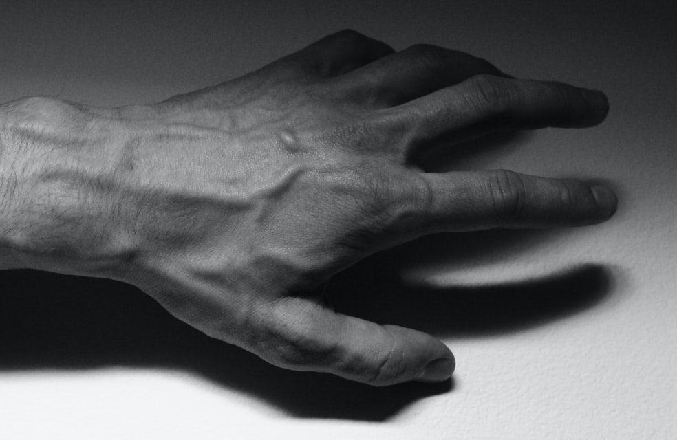 (Fonte: Unsplash)