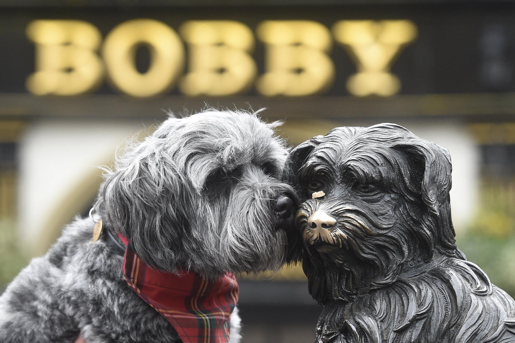 (Fonte: Edinburgh News)