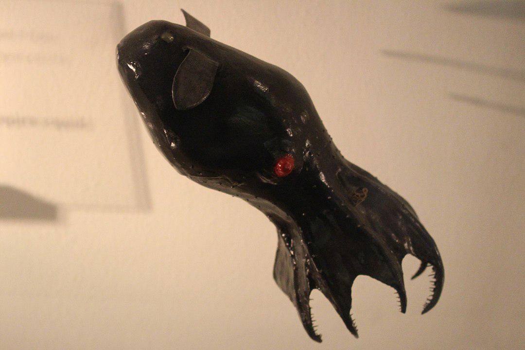 (Fonte: Wikimedia Commons)
