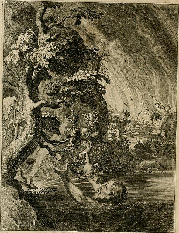 (Fonte: Wikimedia Commons/Internet Archive Book Images)