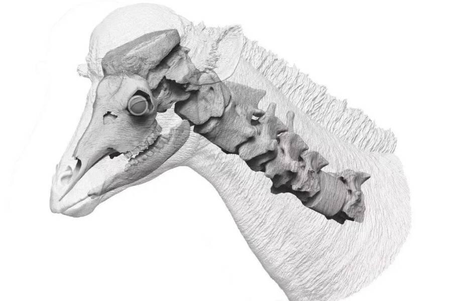 (Fonte: Reprodução: Wang et al., Science)