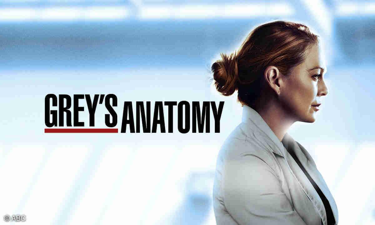 Grey's Anatomy: para Jesse Williams, série acaba sem Ellen Pompeo