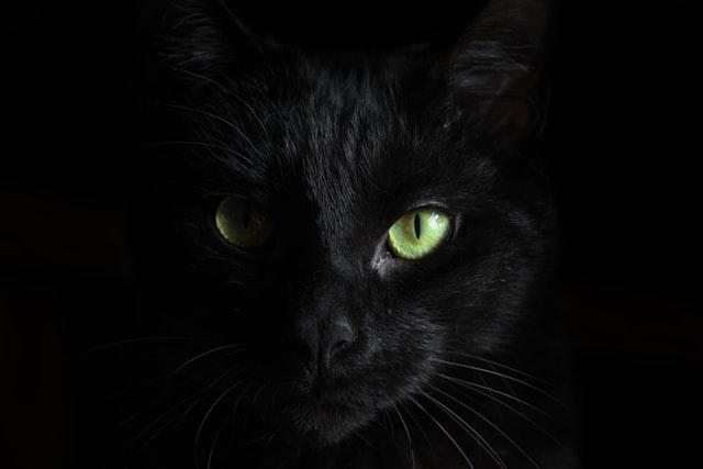 (Fonte: Unsplash)