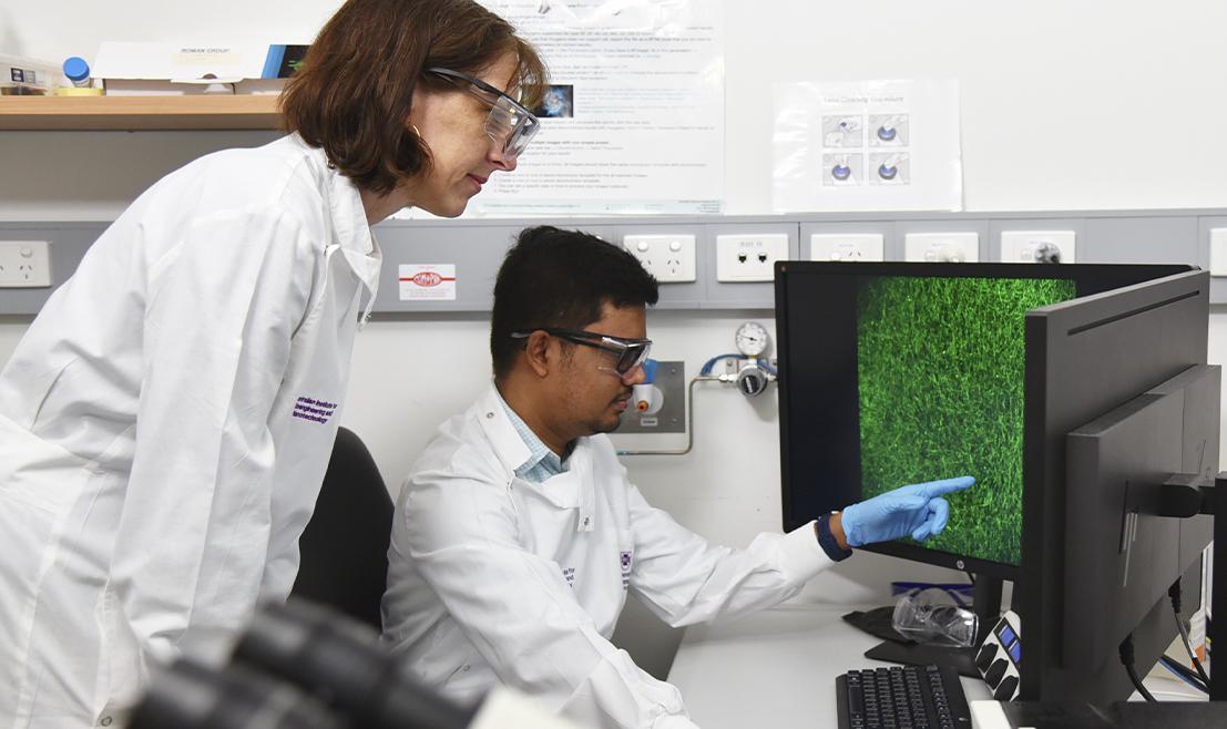 A equipe também está estudando o veneno para tratar lesões traumáticas e queimaduras