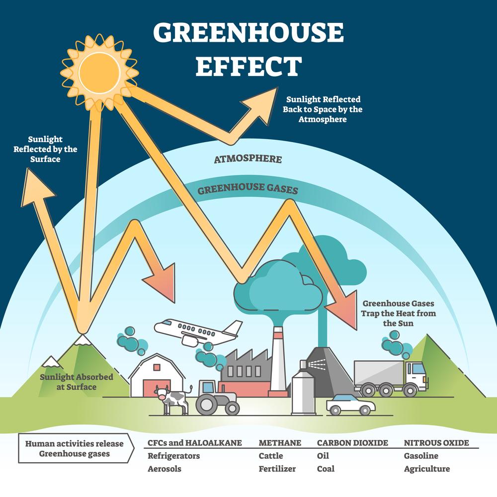 O Protocolo de Montreal regula  gases e partículas danosos para a atmosfera